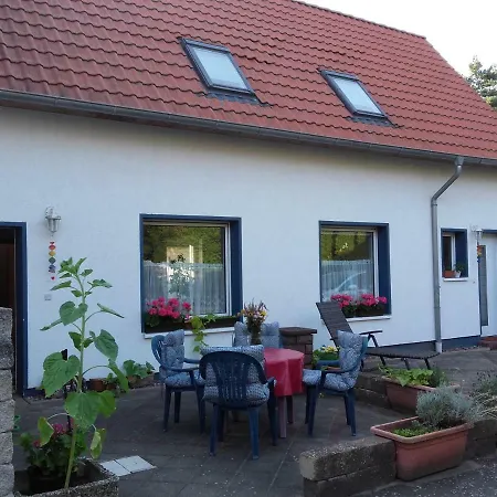 Ardea Alba * Wunstorf